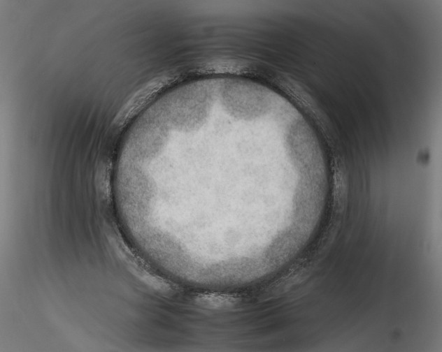 X0000116460537201001061040
