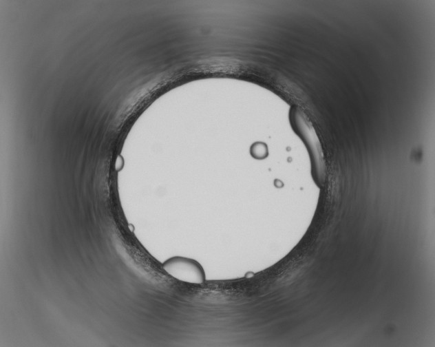 X0000116460538201001061040