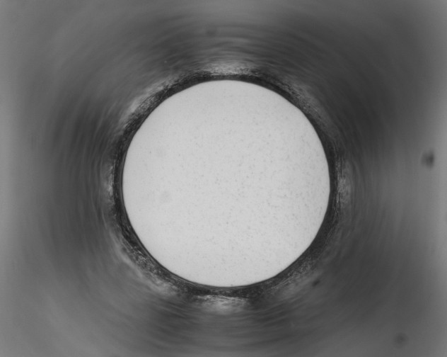 X0000116460539201001061040