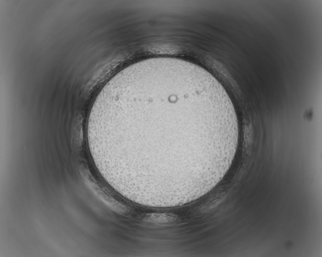 X0000116460541201001061040