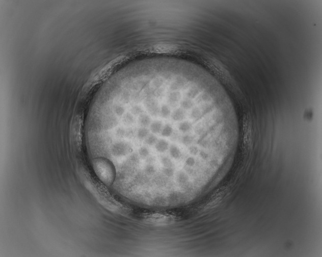 X0000116460542201001061040