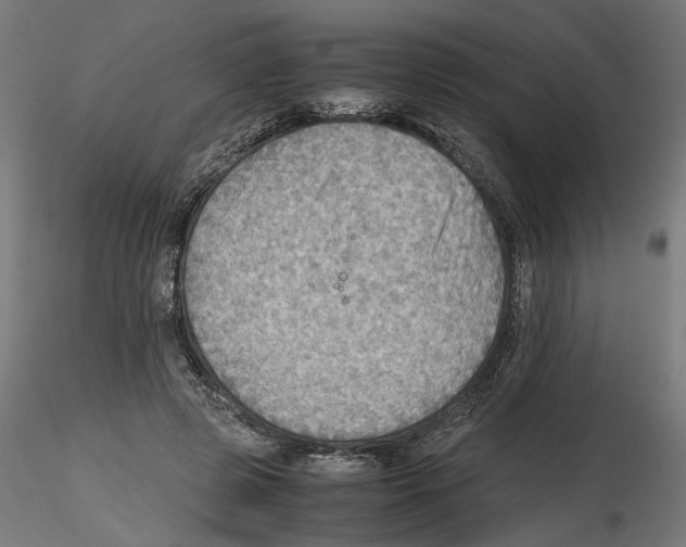 X0000116460545201001061040