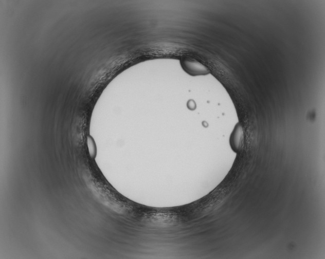 X0000116460546201001061040