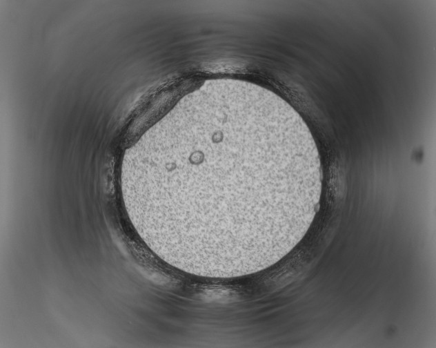 X0000116460547201001061040