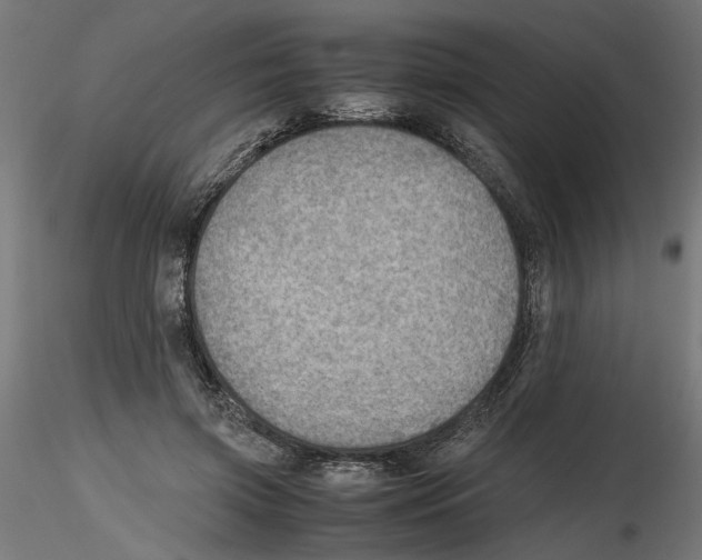 X0000116460549201001061040