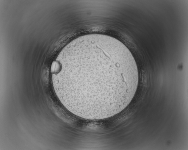 X0000116460550201001061040