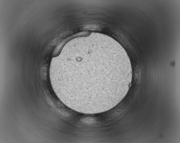 X0000116460551201001061040
