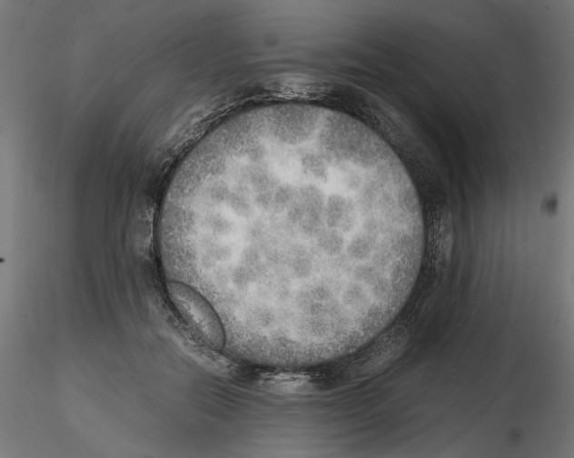 X0000116460554201001061040