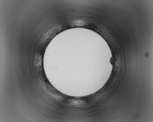 X0000116460555201001061040