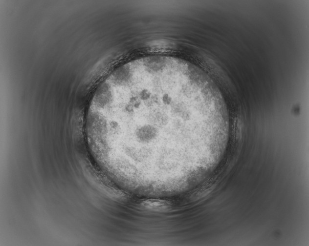 X0000116460557201001061040