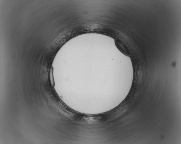 X0000116460558201001061040