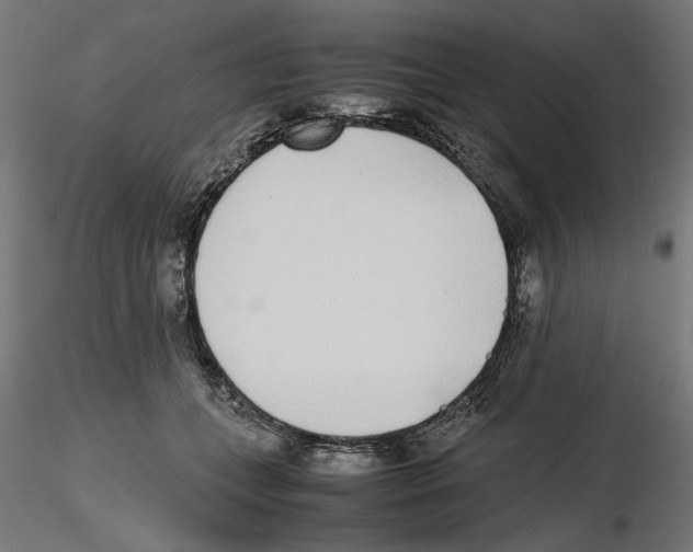 X0000116460559201001061040
