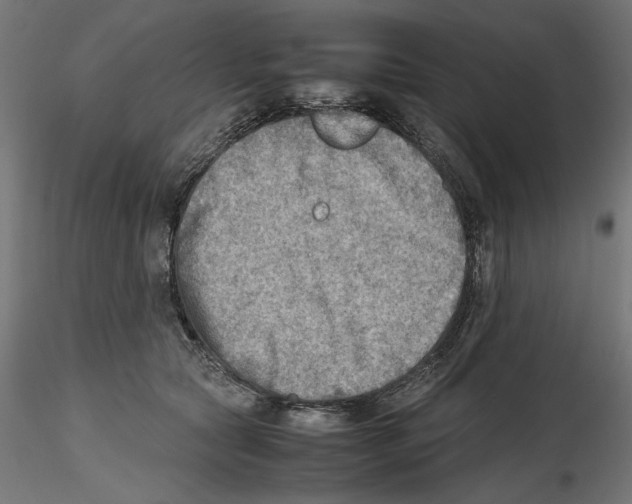X0000116460561201001061040
