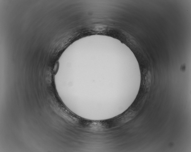 X0000116460562201001061040