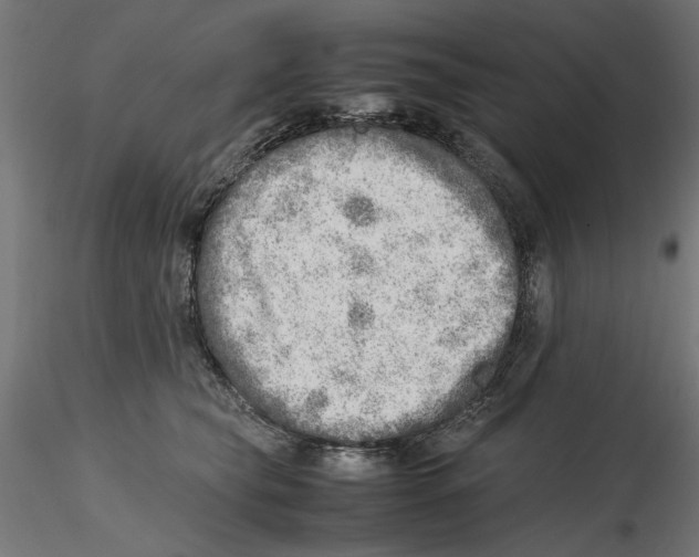 X0000116460565201001061040