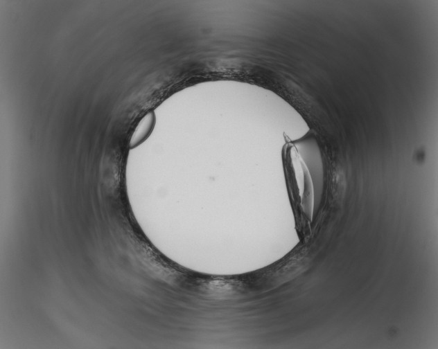 X0000116460566201001061040