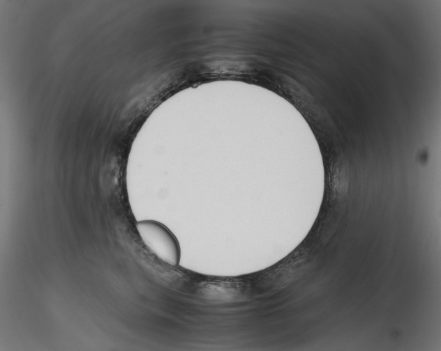 X0000116460567201001061040
