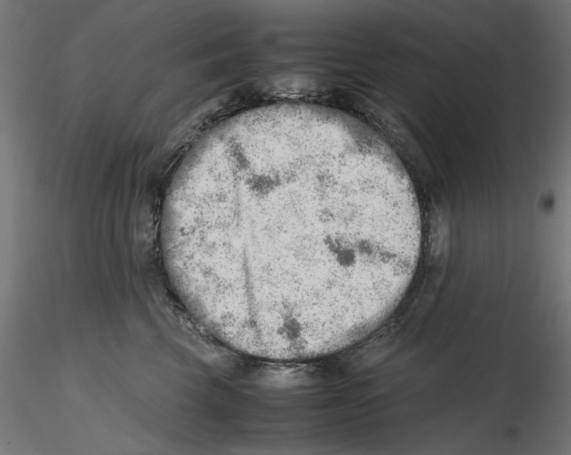 X0000116460569201001061041