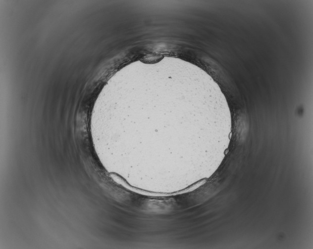 X0000116460571201001061041