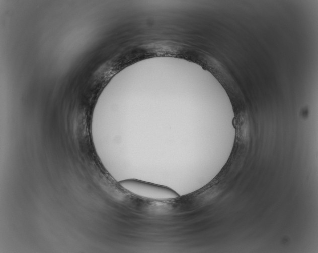 X0000116460573201001061041