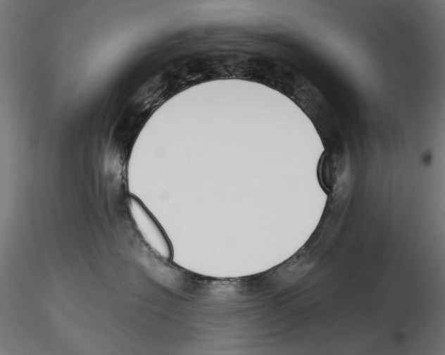 X0000116460574201001061041