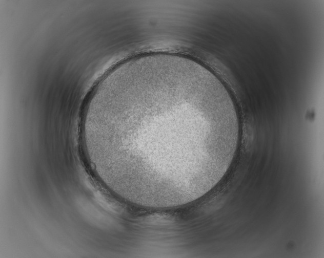 X0000116460578201001061040