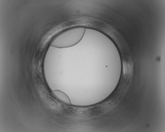 X0000116460579201001061040