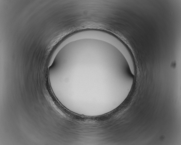 X0000116460581201001061040