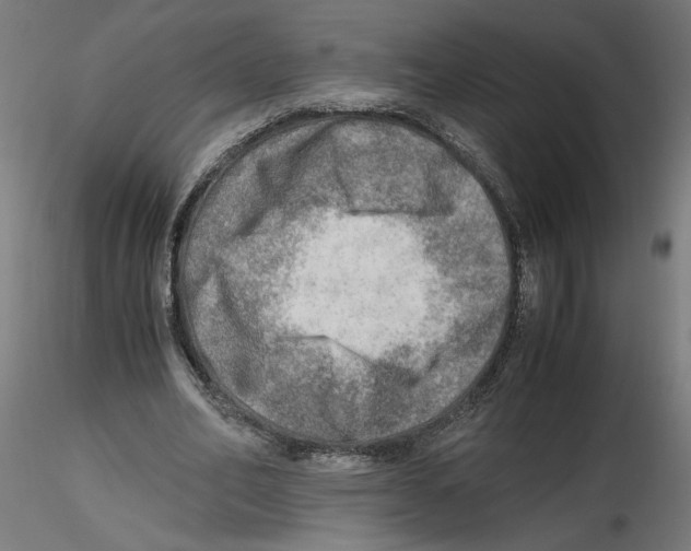X0000116460582201001061040