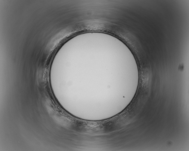 X0000116460583201001061040