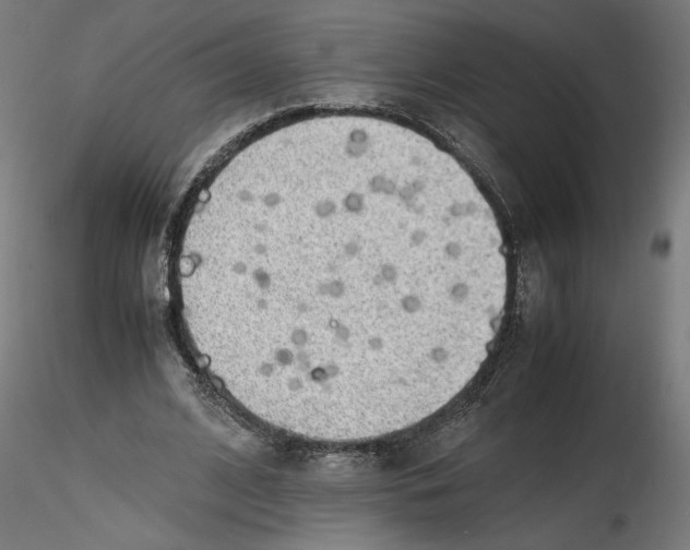 X0000116460584201001061040