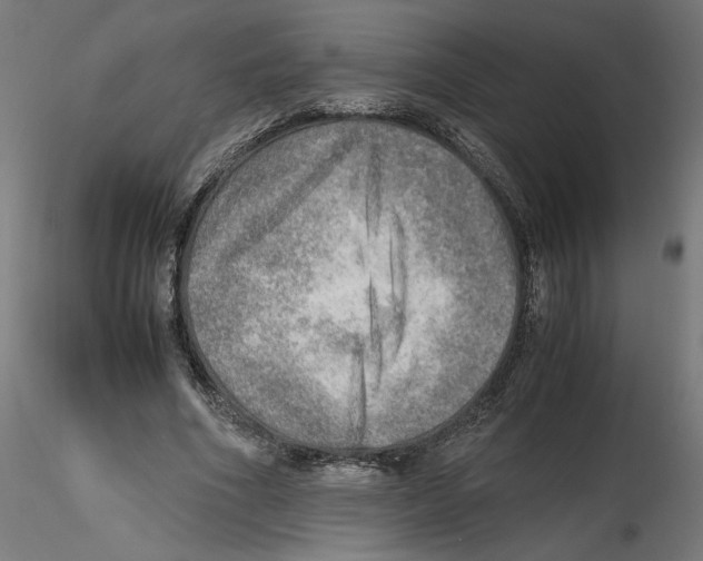 X0000116460586201001061040