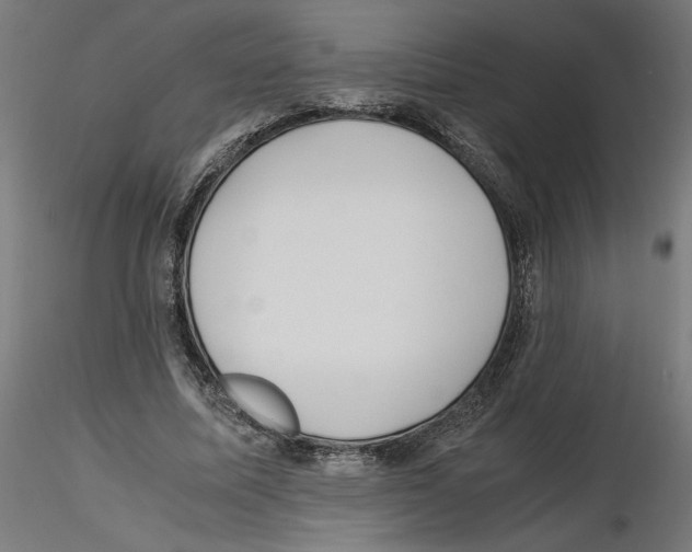 X0000116460587201001061040