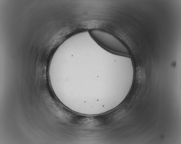 X0000116460589201001061040