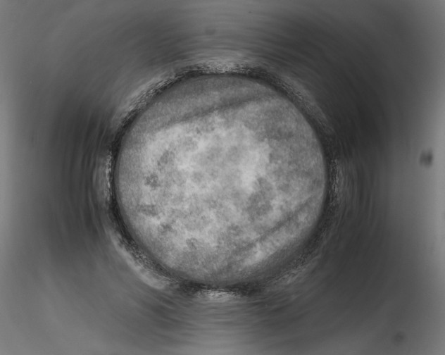 X0000116460590201001061040