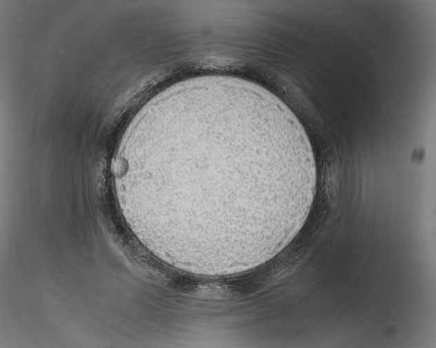 X0000116460591201001061040