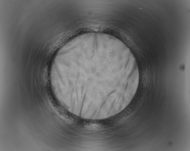 X0000116460594201001061040