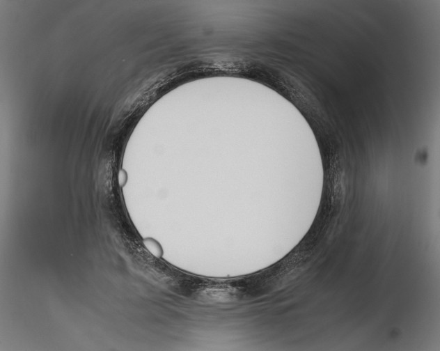 X0000116460595201001061040