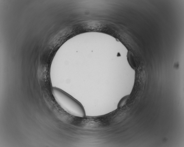 X0000116460597201001061040