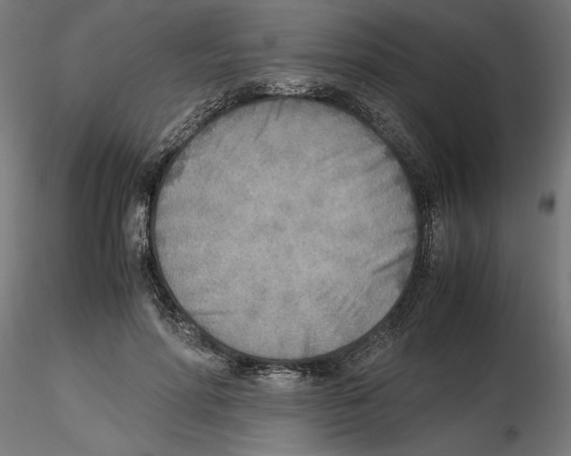 X0000116460598201001061040