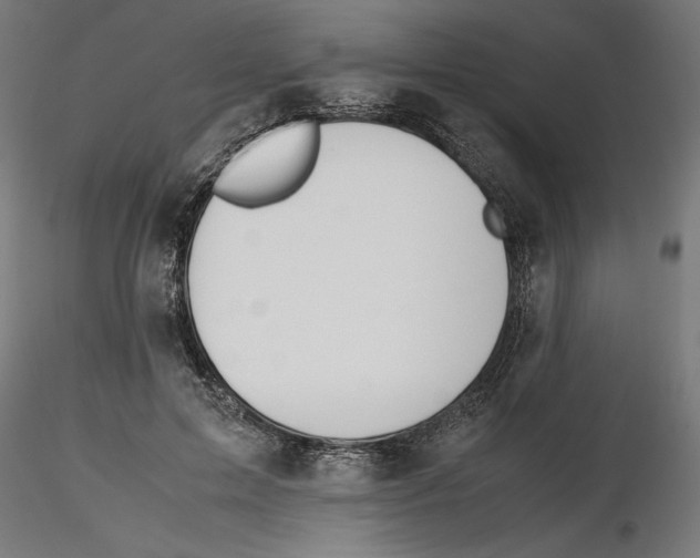 X0000116460599201001061040