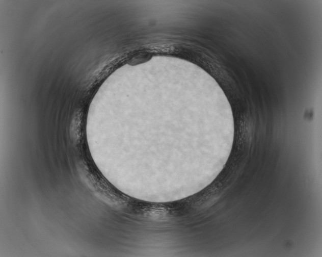 X0000116460600201001061040