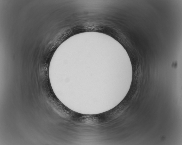X0000116460601201001061040