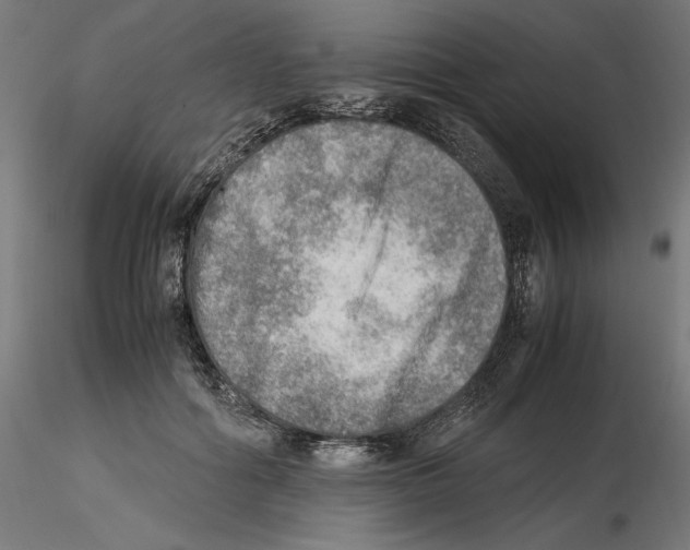 X0000116460602201001061040