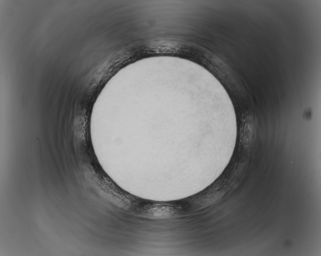 X0000116460604201001061040