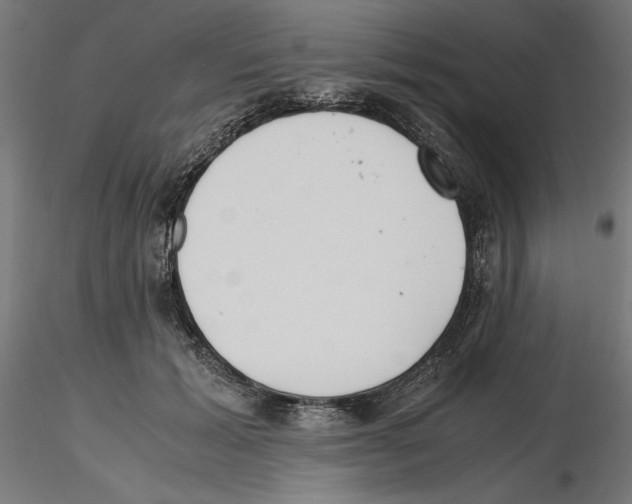 X0000116460605201001061040