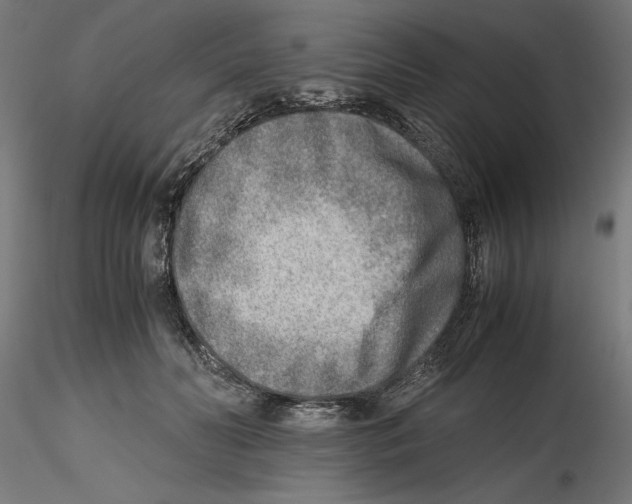 X0000116460606201001061040