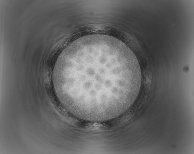 X0000116460607201001061040