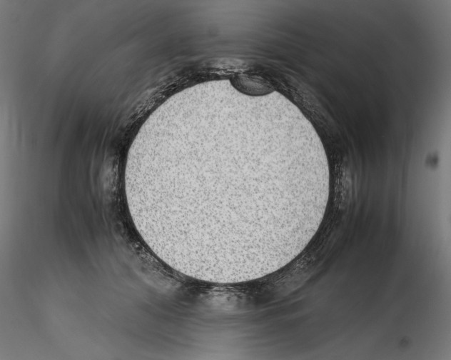 X0000116460608201001061040