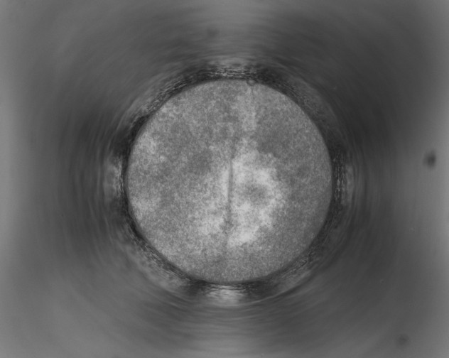 X0000116460610201001061040